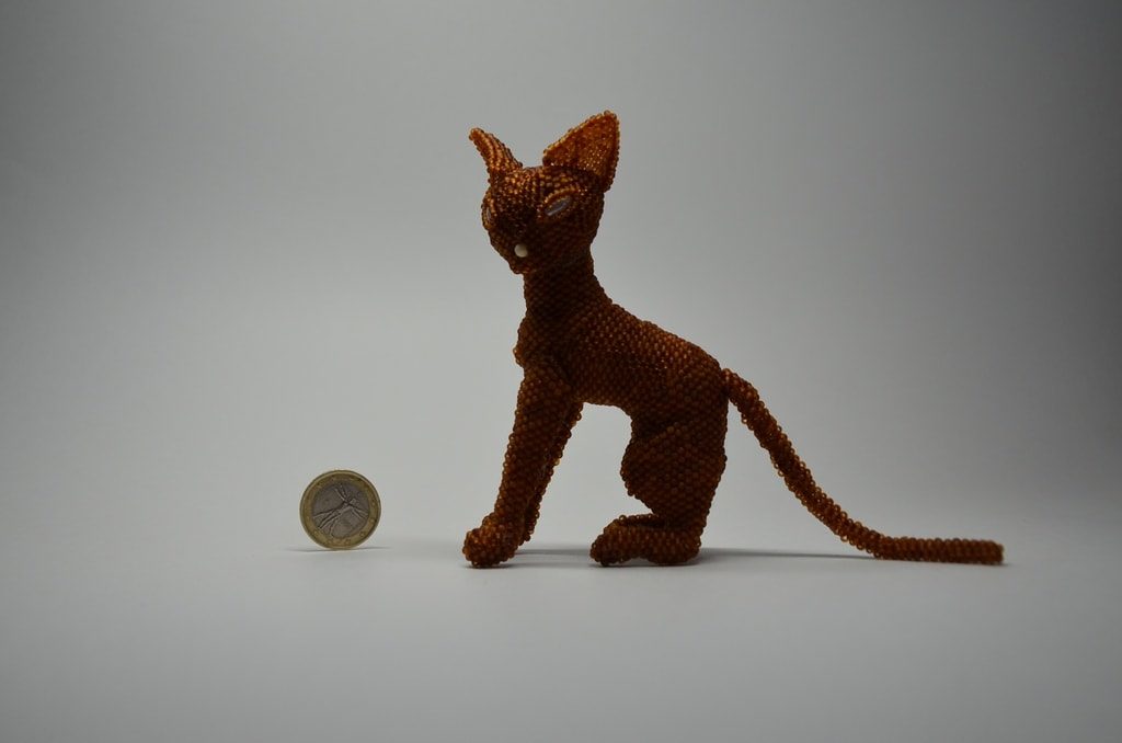 Кот сфинкс 2