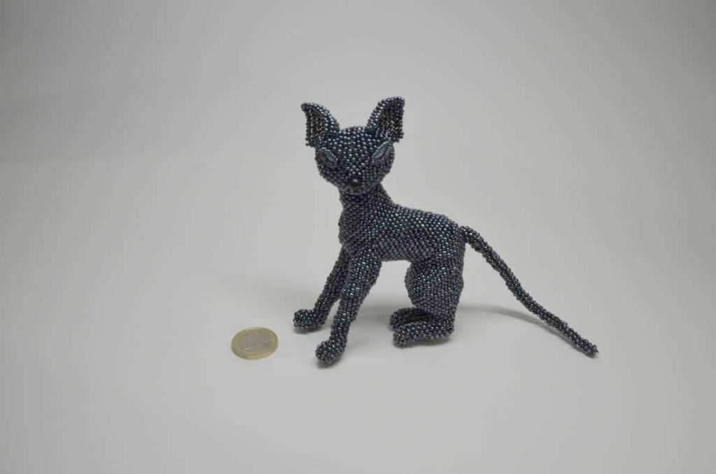 Кошка сфинкс